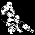 Jiu Jitsu em Araguaína